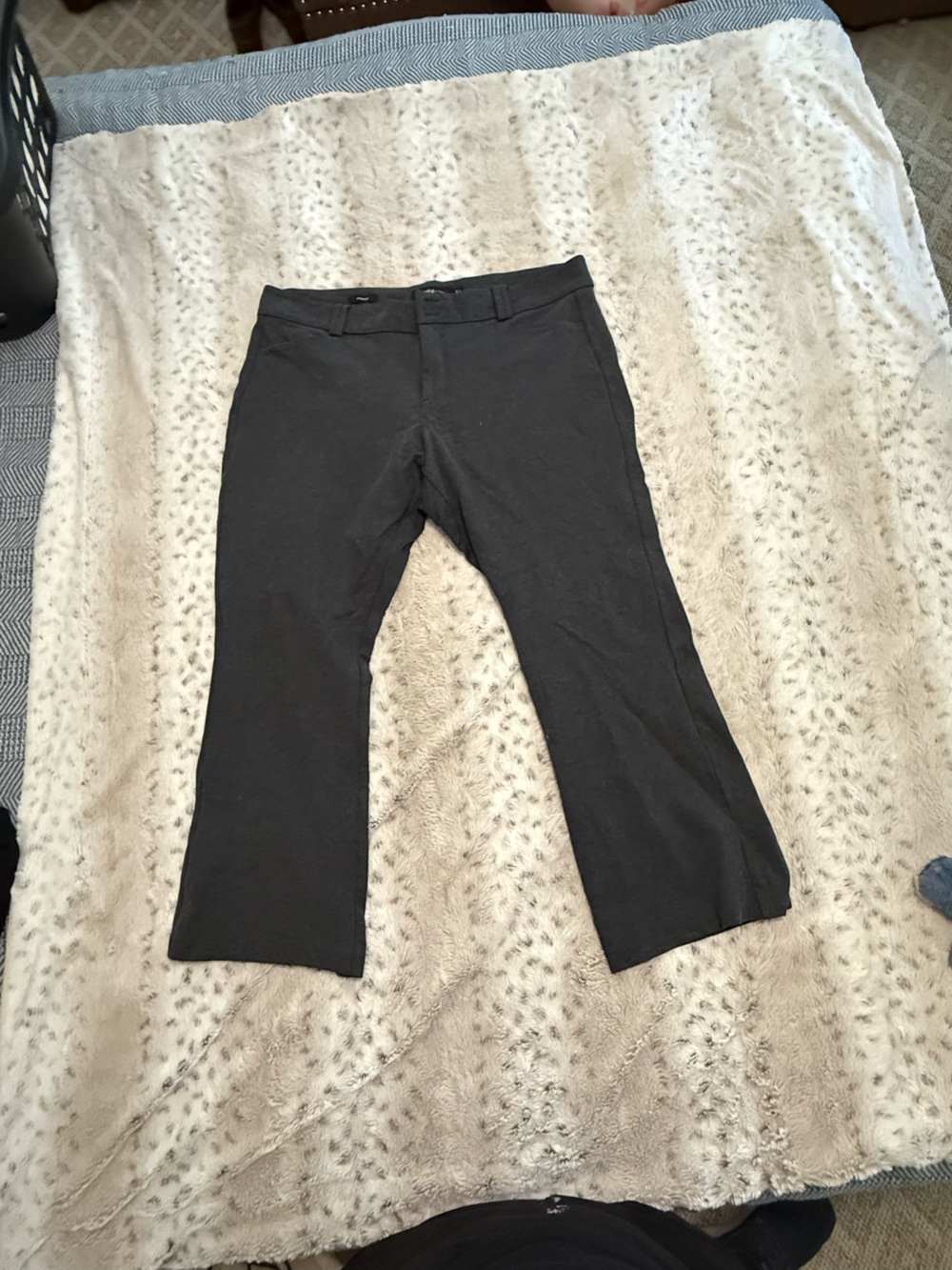 torrid Dark Gray Studio Trouser Boot Cut Pants 22